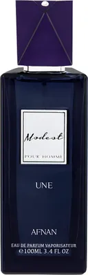Produktbild von Afnan Modest Une Pour Homme Eau De Parfum 100 ml (man)