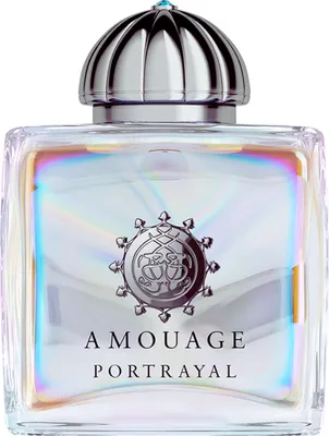Amouage Portrayal Man parfémovaná voda pro muže 100 ml