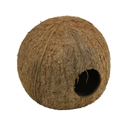 Produktbild von JBL Cocos Cava, Größe: L (3/4)