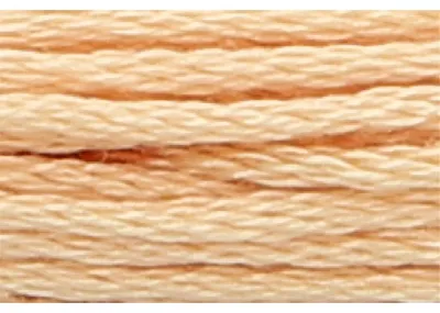 Imagen del producto de Anchor Bordado twist 8m, plano, algodón, color 942, 6-hilos