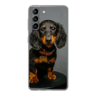 Produktbild von MuchoWow® Handyhülle Schutzhülle Hülle für Samsung Galaxy S21 Studiofoto eines Dackelwelpen Silikon Softcase Handy Hülle - Softcase