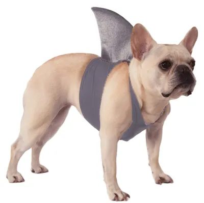 Image de Costume de chien Haiflosse de Rubie's
