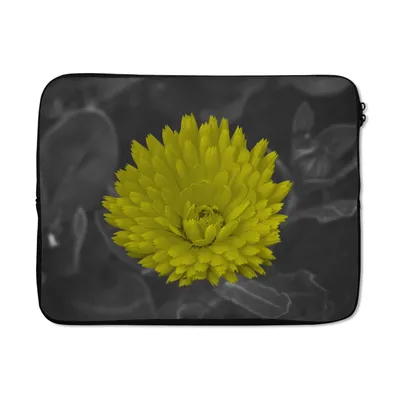 Produktbild von MuchoWow® Laptop Hülle 17 Zoll Laptoptasche Blumen - Aquarell - Löwenzahn - Zipper - Schutzabdeckung