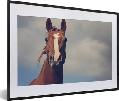 Produktbild von MuchoWow® MuchoWow® Gerahmtes Poster Pferd - Wolken - Porträt 60x40 cm - Poster mit zchwarzem Bilderrahmen - Schlafzimmer - Plakat in Rahmen - Drucken