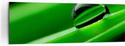 Produktbild von Bild auf Leinwand - Leinwandbild - Pflanze Tropfen Wasser Blase - 160x50cm - Wand Bild - Wanddeko - Leinwanddruck - Bilder - Kunstdruck - Wanddekoration - Leinwand bilder - Wandkunst - AB160x50-2352