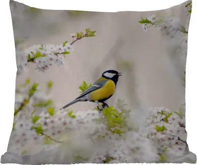 Produktbild von MuchoWow® Outdoor Kissen - Vogel - Kohlmeise - Blumen - Blütenbaum - 40x40 cm - Wetterfest - Lounge Kissen - Kopfkissen - Interieur - Polster mit Bild
