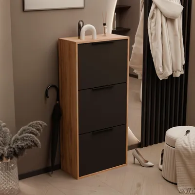Produktbild von Schuhschrank, Hängeschrank in wotan/schwarz