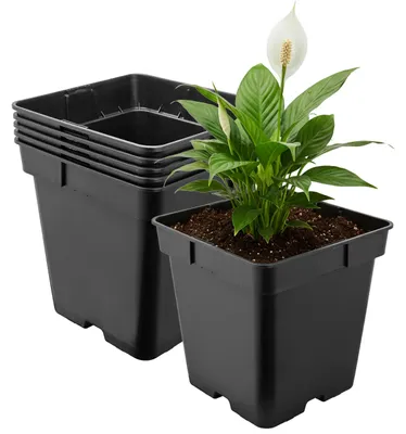 Image de Garronda, lot de 5 pots de fleurs carrés en plastique avec trous de drainage pour le jardin (noir, 18 x 18 x 18 cm (4 L)) GD-KW-S