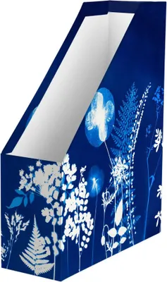 Produktbild von Clairefontaine 4x Cyanotypie, Stehsammler 25x10x32,5cm 83509C