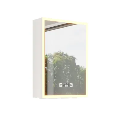 A white medicine cabinet with a mirror and LED lighting, reflecting trees and sky.