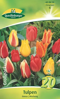 Artikelbild 2 von 'Tulpen Greigii Mischung (20 Stück)' aus der Kategorie Tulpenzwiebeln