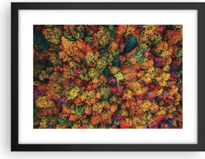 Produktbild von Gerahmtes Poster - Schwarzer Rahmen - Herbst Perspektive Vogel - 40x30 cm - Wand Bild - Wanddeko - Wandbilder - Kunstposter - Wandposter - Bilderrahmen - Bilder - Kunstdruck - P2BAA40x30-4478