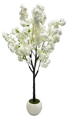 Produktbild von Künstlicher Kirschblütenbaum - Dekorativer Blütenbaum - 180 cm - Weiß - Seidenblumen - Im Topf - Für Innenräume