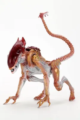 Immagine prodotto di NECA Aliens Action Figure Panther Alien (Tributo Kenner) 23 cm NECA51715