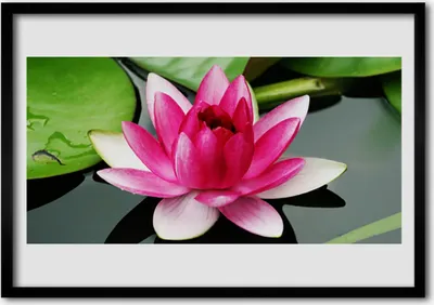 Produktbild von Bild 100x70 MDF-Rahmen Wandkunst Natur Blume Pflanze