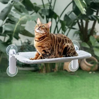 Produktbild von Katzen-Fensterhängematte – Faltbare Fensterliege – Katzenbett mit Saugnäpfen – Katzenliegenplatz für Fenster – Waschmaschinenfest, 54 x 30 cm (Hellgrau, Größe M)