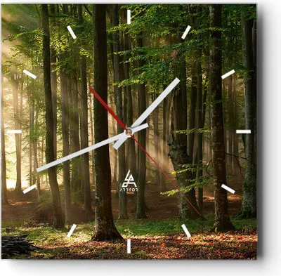 Produktbild von Wanduhr - Quadrat - Glasuhr - Wald Baum Natur - 40x40cm - Schleichendes Uhrwerk - Lautlos - zum Aufhängen bereit - Dekoration Modern - Wanddekoration aus Glas - C3AC40x40-3628