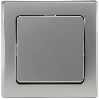 Produktbild von DELPHI Wechsel-Schalter UP silber 250V/ 10A inkl. Rahmen Steckanschluss