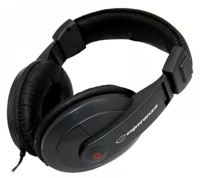 A pair of black over-ear headphones.