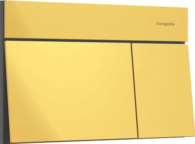 Immagine prodotto di hansgrohe iFrame élément E Plaques de déclenchement pour chasse d'eau à 2 quantités, 66003990, 66003990