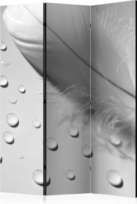 Produktbild von 3-teiliger Einseitiger Vlies Paravent - White Feather 135x172 cm Tiere b-B-0198-z-b