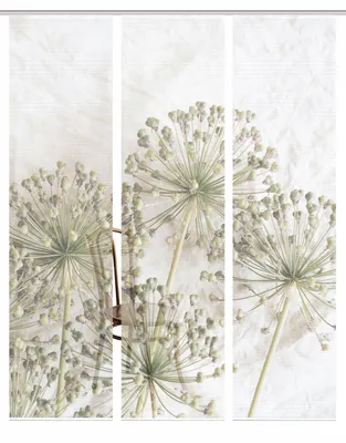 Produktbild von HOME in green Cintia 3Er Set 245 X 60 cm 3x Schiebevorhang inkl. Paneelwagen und Klemmleiste Natur