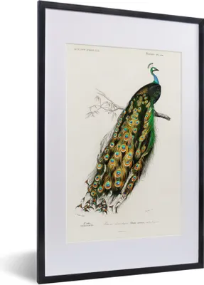 Produktbild von MuchoWow® MuchoWow® Gerahmtes Poster Vogel - Pfau - Vintage 40x60 cm - Poster mit zchwarzem Bilderrahmen - Poster in Rahmen