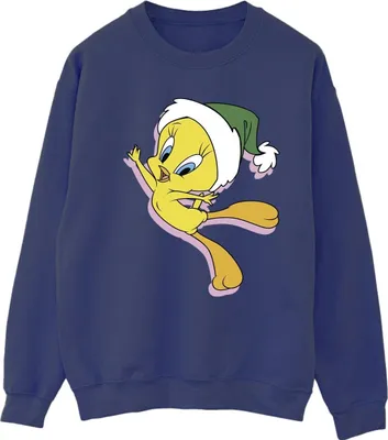 Produktbild von Looney Tunes - Sweatshirt für Damen BI24997 (XXL) (Marineblau)