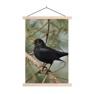 Produktbild von MuchoWow® Textilposter Vogel - Amsel - Zweige - Tiere 60x90 cm mit holzfarbenen Rahmen - Textil