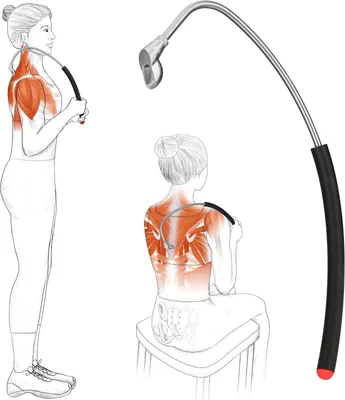 Productafbeelding van Massage-rol van roestvrij staal voor triggerpunten, geschikt voor pijn in de schouder, rug en voor het verlichten van spierknopen in de levator capulae, trapezius, rhomboideus en splenius
