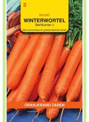 Imagen del producto de Zanahorias "Oranjeband": Zanahorias largas, de color rojo intenso y forma cónica. Paquete de semillas (2-1)