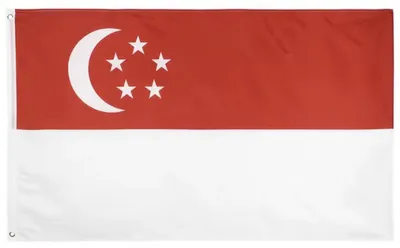 Obrázok produktu pre Singapurská vlajka – Vlajka Singapuru – Červená/biela – Štátna vlajka – 150/90 cm – Polyester – CHPN