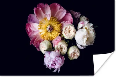 Produktbild von MuchoWow® Poster Blumen - Rosa - Pastell 120x80 cm - Bilder