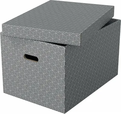 Produktbild von Esselte Aufbewahrungsbox Home L 3er Set grau