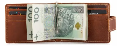 Produktbild von Belveder BW48 Juchtleder Portemonnaie Herren Geldscheinklammer