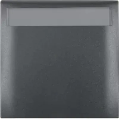 Zdjęcie produktu dla Berker 919882505, Antracyt, Termoplastyczny, Berker, Matowy, Integro Flow, IP20