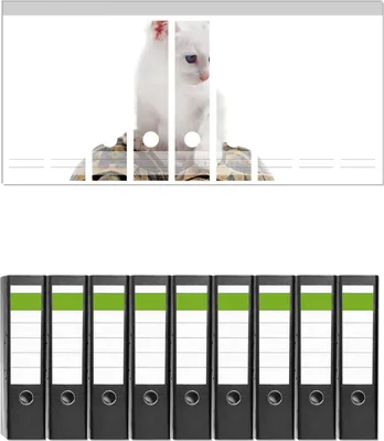 Produktbild von Wallario 9 Stück breite Ordner inkl. Klebeetiketten mit Motive Katze auf Schildkröten -  Set mit Rückenschildern / Ordnerrücken Stickern