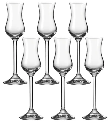 Produktbild von Leonardo Daily Grappa-Glas 6er Set, Schnaps-Glas mit Stiel, spülmaschinenfeste Digestif-Gläser, Höhe 20 cm, 10 cl, 063319