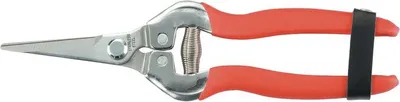 Immagine prodotto di Forbici Strend Pro Premium 803BS, 180 mm, da giardino, per frutta, fiori e piante, diritte