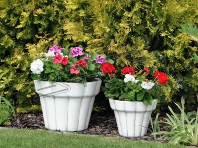 Produktbild von Blumenkorb Blumen Vase Gefäss Garten Terrasse Dekoration Statue Figuren S204060