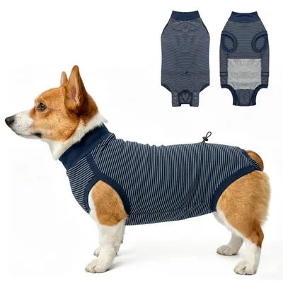 Immagine prodotto di Abbigliamento post-operatorio per cani - A righe blu - Taglia S