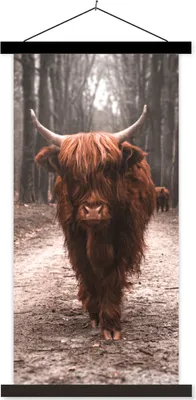 Produktbild von MuchoWow® Textilposter Schottisches Hochlandrind - Wald - Kuh - Tiere - Natur 60x120 cm mit schwarzem Rahmen - Magnete