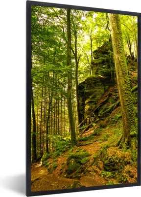 Produktbild von MuchoWow® Gerahmtes Poster Bäume - Stein - Wald - Natur - Pflanzen 20x30 cm - Poster mit Schwarzem Bilderrahmen Wandposter Rahmen Foto Bilder - Drucken - Bilder Poster im Rahmen