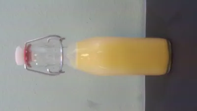 Immagine prodotto di Essenza di zenzero  I Succo puro di zenzero I Bottiglia con tappo a clip da 0,25 litri I Puramente biologico