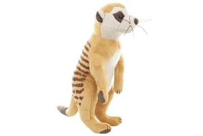 Immagine prodotto di Peluche Surikata grande
