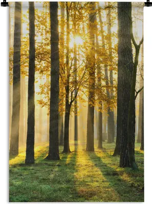 Produktbild von MuchoWow® Wandteppich Wandbehang Wald - Sonne - Bäume - Gras - Landschaft - Natur 60x90 cm Tapisserie Dekoration Wandtuch - Foto-Teppich - Abwaschbar