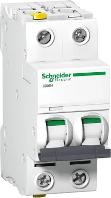Immagine prodotto di Interruttore miniaturizzato Schneider Electric 16 A 2 poli C (A9F07216)