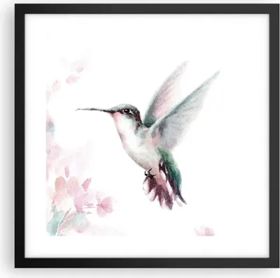 Produktbild von Gerahmtes Poster - Schwarzer Rahmen - Kolibri Aquarell Licht - 40x40 cm - Wand Bild - Wanddeko - Wandbilder - Kunstposter - Wandposter - Bilderrahmen - Bilder - Kunstdruck - P2BAC40x40-4518