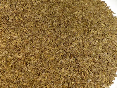 Produktbild von Dillsaat ganz Naturideen® 100g