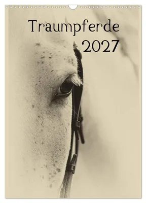 Produktbild von Traumpferde 2027 (Wandkalender 2027 DIN A3 hoch), CALVENDO Monatskalender